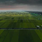 divyasree-whispers-of-the-wind-banner-img
