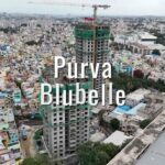 Purva bluebell location