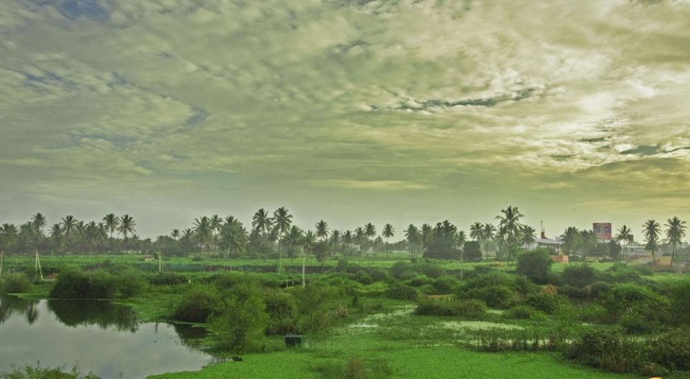 hoskote lake